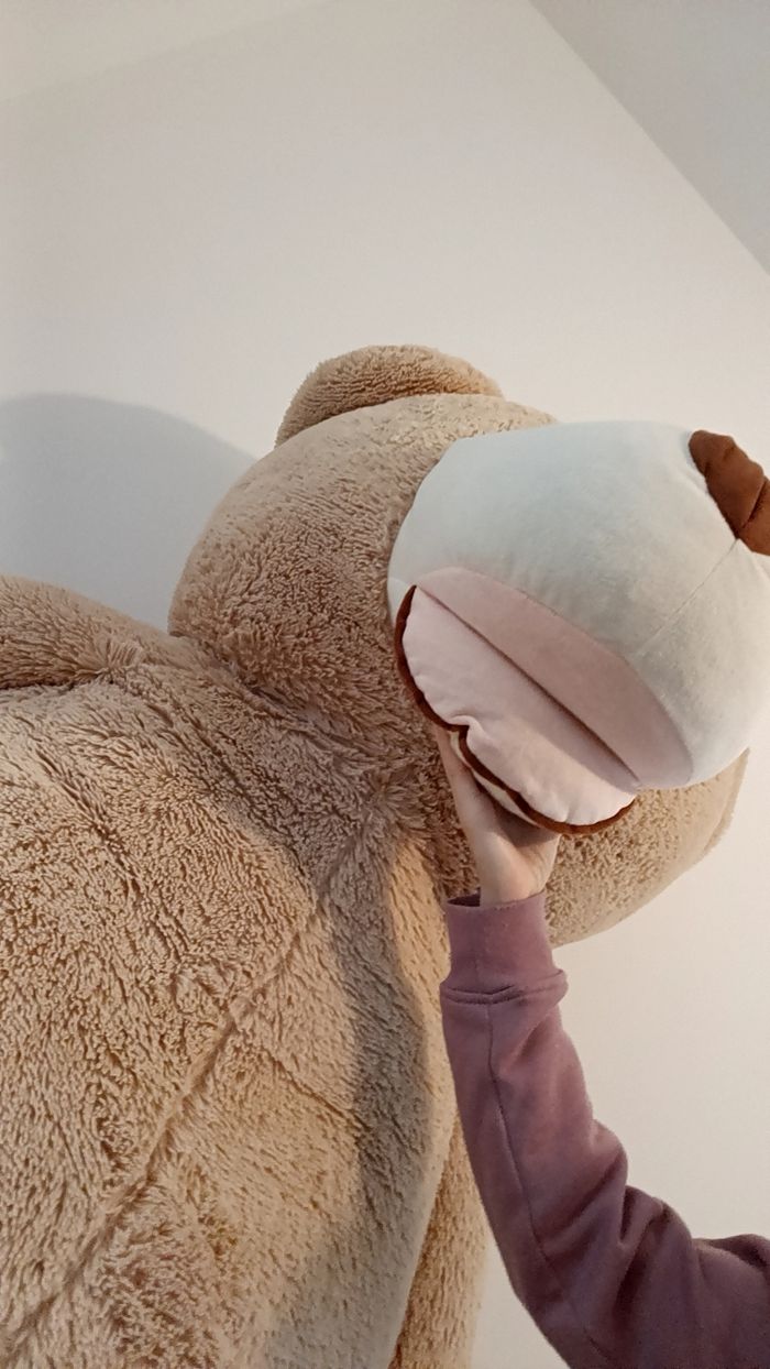 Ours géant - photo numéro 3