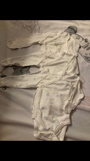 Lot 3 bodies manche longue