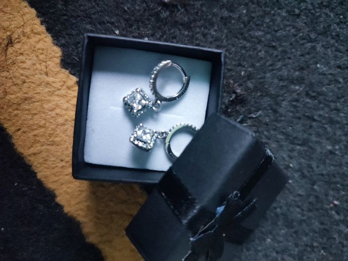 Jolie boucles d'oreilles pandora en argent