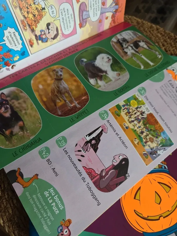 Lot de 5 Tobbogans. Dès 6 ans - photo numéro 5