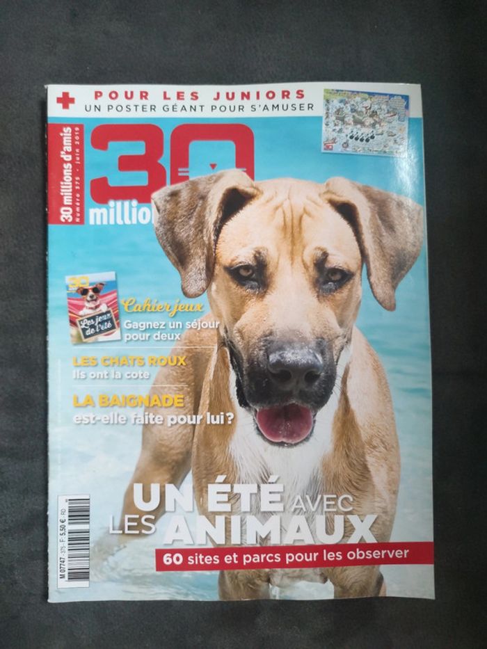 Magazine 30 millions d'amis numéro 375 été 2019
