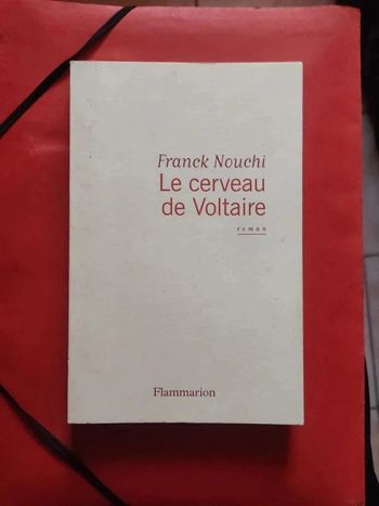 Le cerveau de voltaire