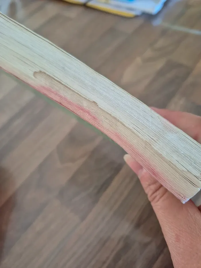 Livre Monzillas - photo numéro 3