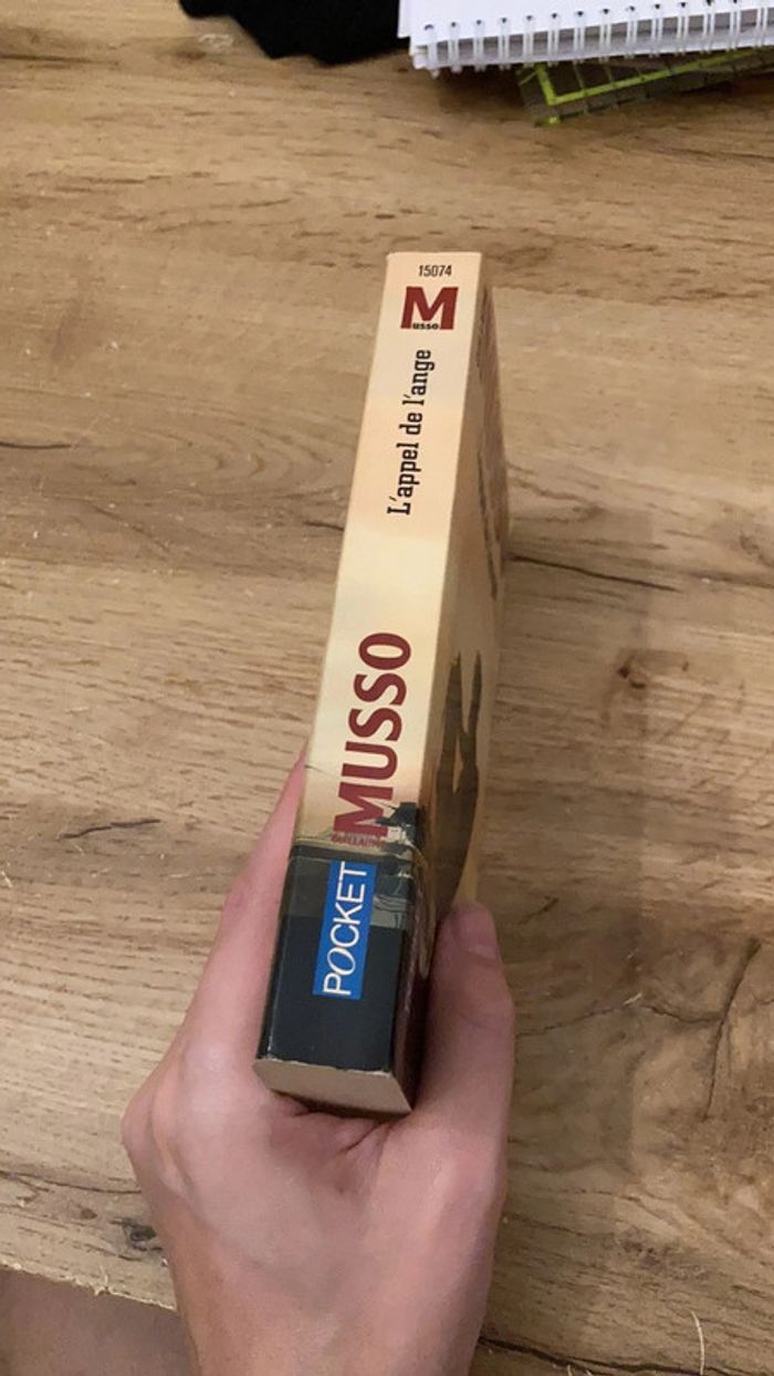 L appel de l ange de Guillaume Musso - photo numéro 4