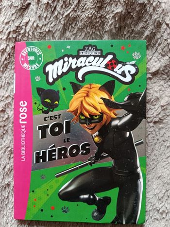 Livre dont vous êtes le héros chat noir