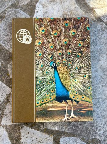 Livre - Le Royaume des Animaux Tome 1