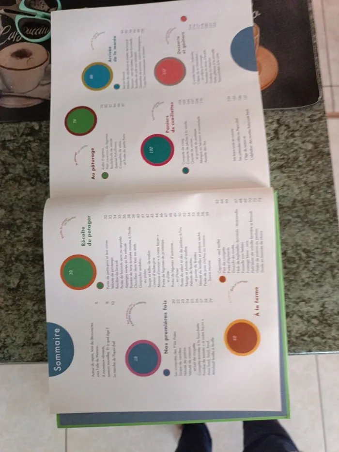 Babycook book - photo numéro 6