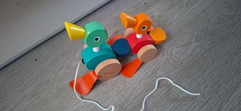 Canard à tirer Janod