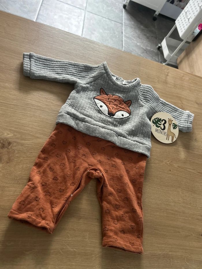 Très beau ensemble renard 🦊 Marèse