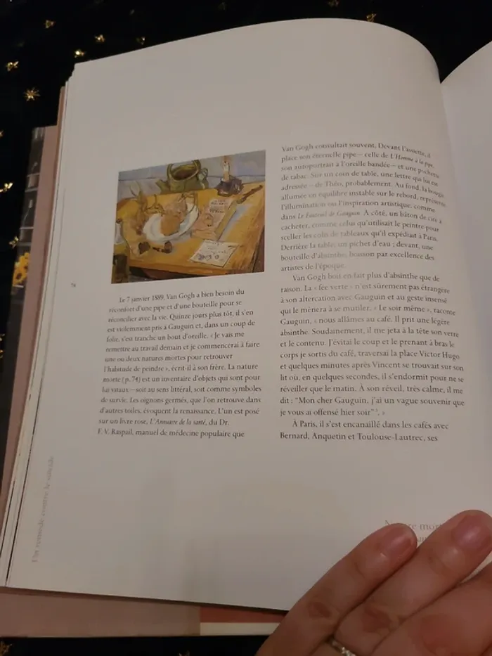 Livre Van Gogh à l'Auberge Ravoux - photo numéro 6