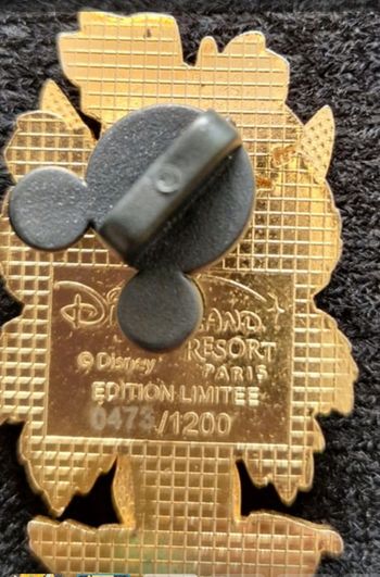 Pins DisneyLand Paris Fée Clochette Tinkerbell Édition Limitée