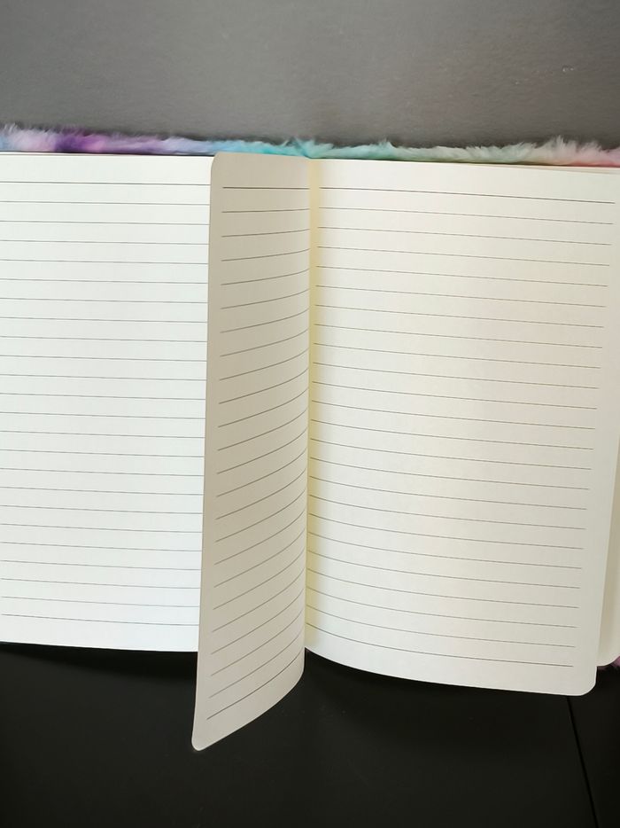 Carnet de note peluche DUFFY - photo numéro 3