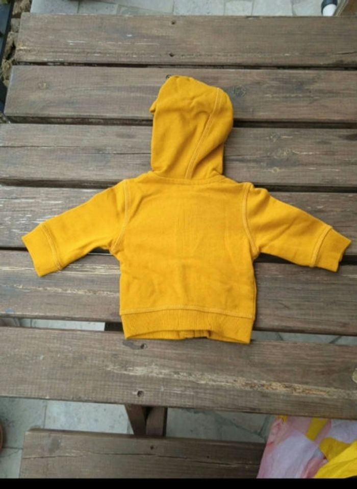 Veste a capuche 1 mois - photo numéro 2