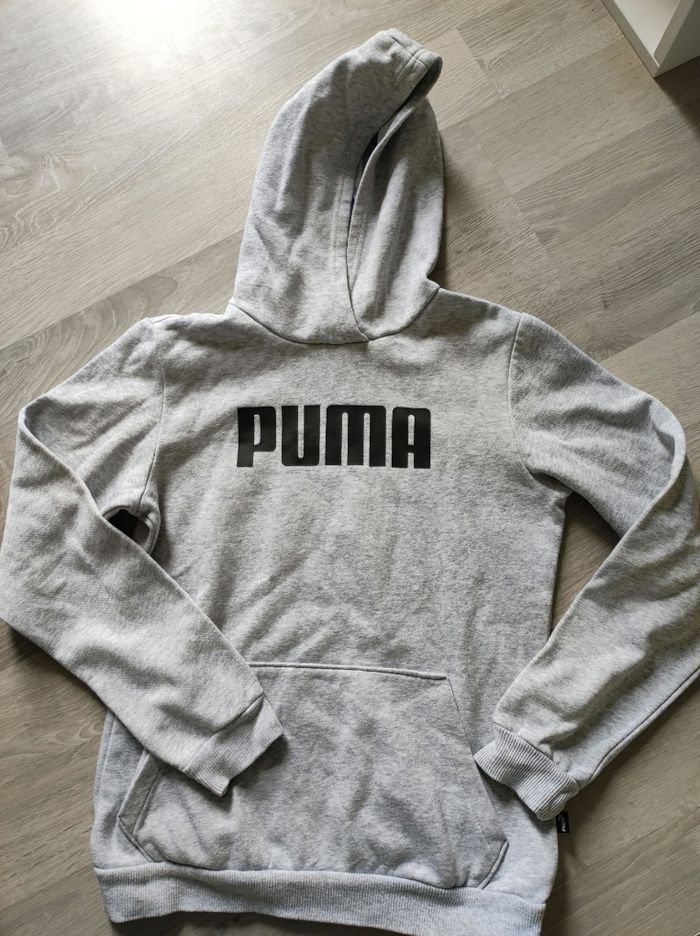 Pull puma