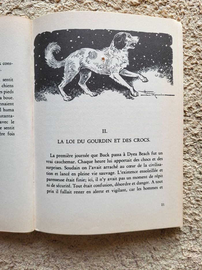 Livre de collection L'appel de la forêt de Jack London - photo numéro 6