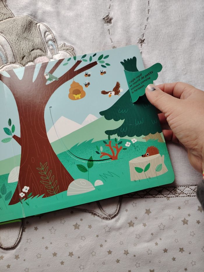 Livre les beaux animaux - photo numéro 4