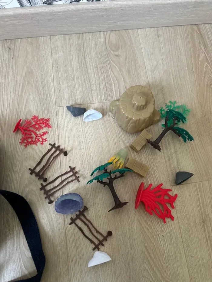 Animaux - photo numéro 4