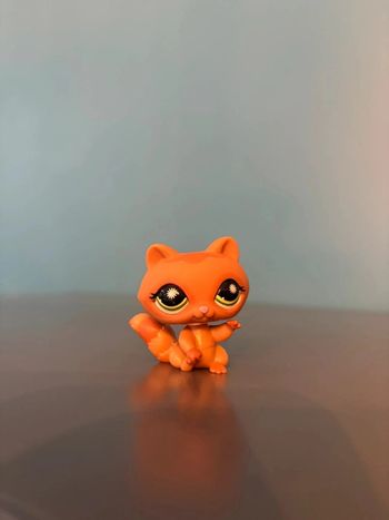 Raton laveur LPS #953