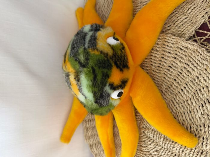 ajena peluche étoile de mer vintage - photo numéro 1