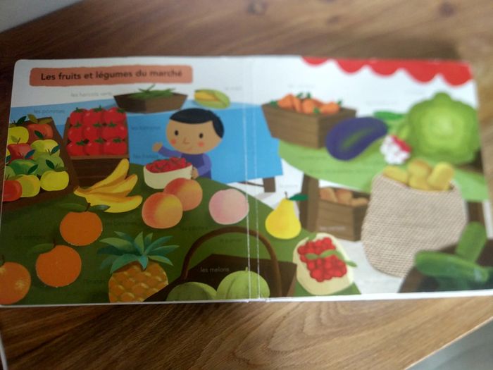 Grand imagier à toucher - photo numéro 12