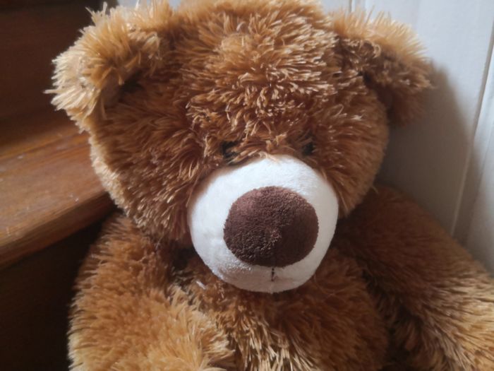 Ours en peluche - photo numéro 1