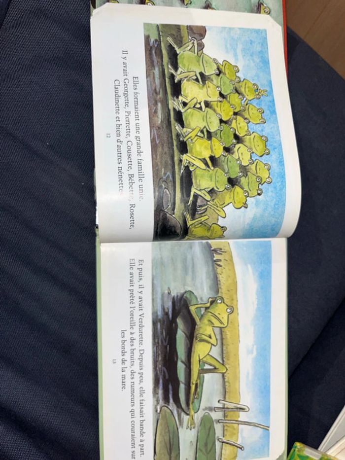 Livre pour enfants pauvre verdurette par Claude boujon - photo numéro 3