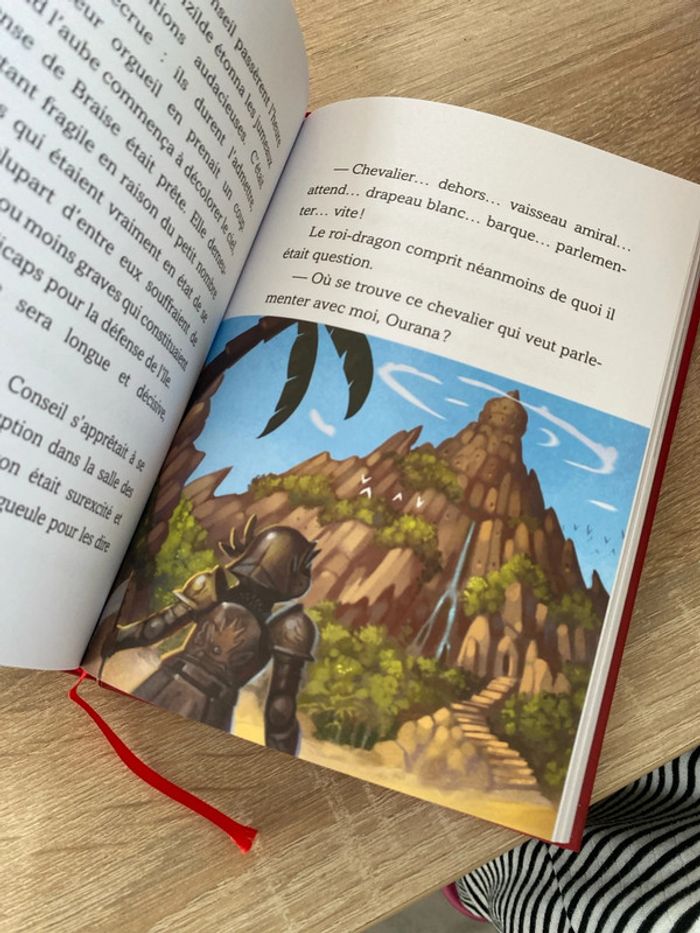 Livre roman, enfants, l’intégrale, l’île au dragon, Eric D’avoisinant  et Jérémie Fleury - photo numéro 3