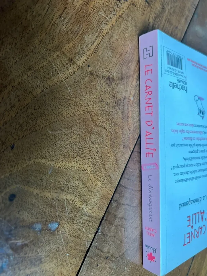 Livre le carnet d’Ali, tome un le déménagement - photo numéro 5