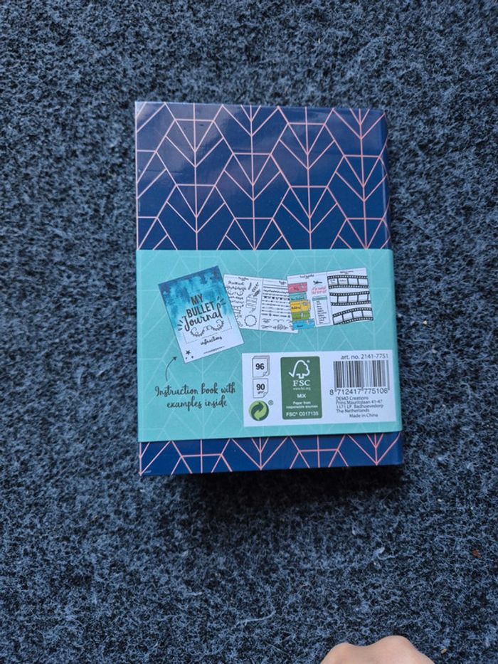 Bullet journal Action neuf - photo numéro 3