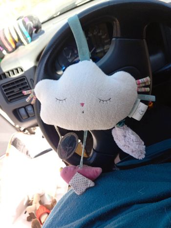 Boite à musique les pachats de moulin roty lire description