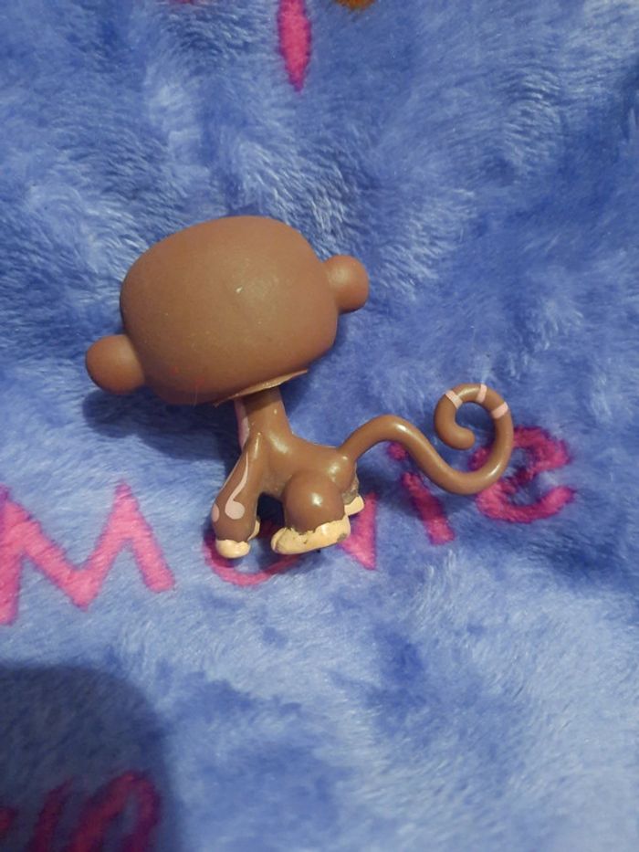 Petshop - photo numéro 2