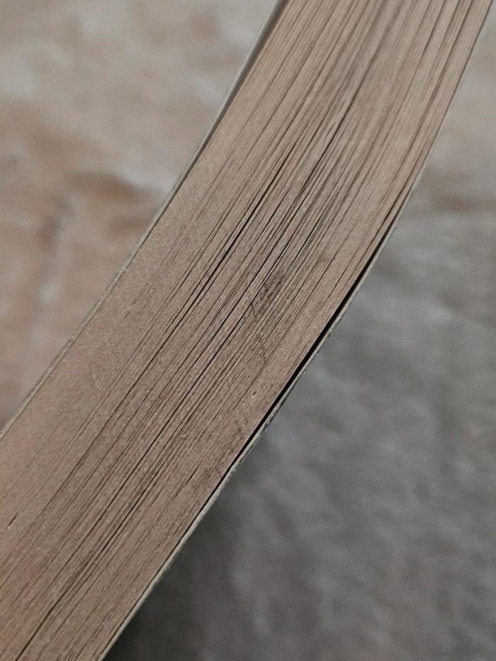 Livre Mexican Gothic V.O - photo numéro 4