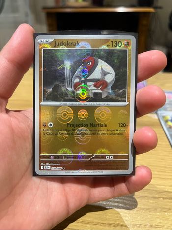 Judoka pokeball foudre noire 050/086
