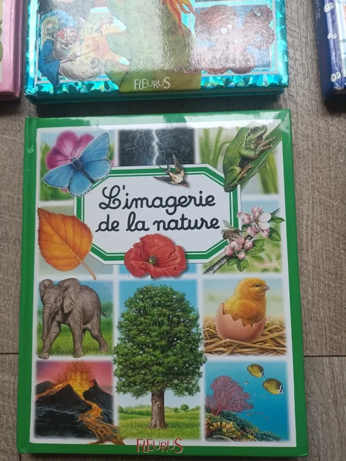 Lot de 7 livres l'imagerie pour enfant - photo numéro 6