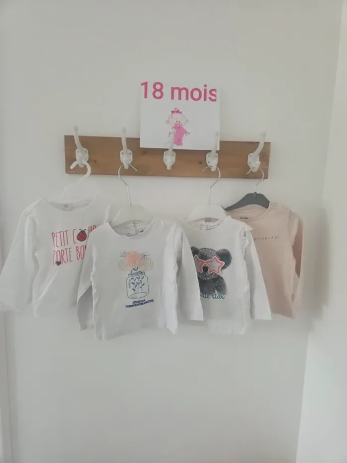 Lot 4 tee-shirts 18m