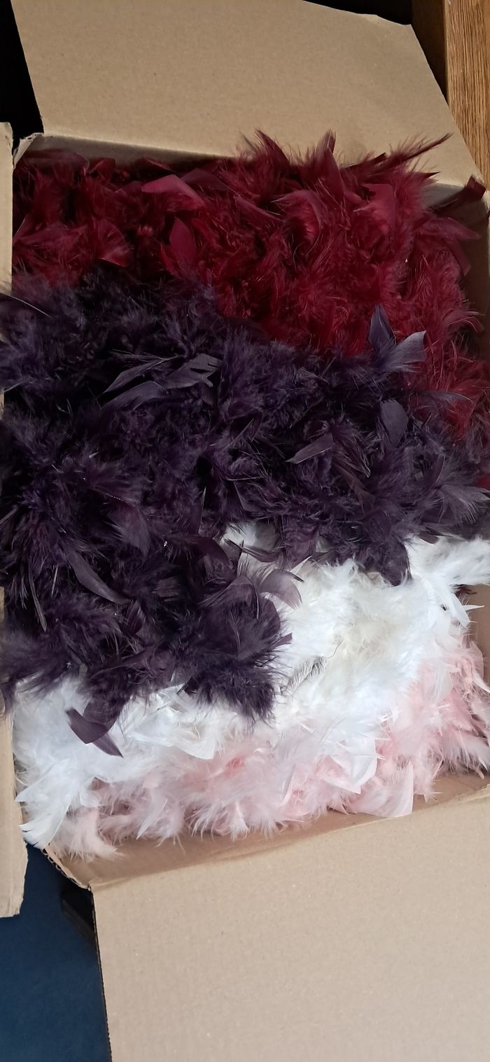 9 Guirlande de plumes - photo numéro 2