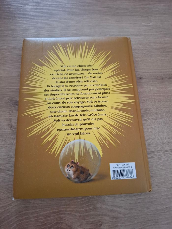 Livre Disney - photo numéro 2