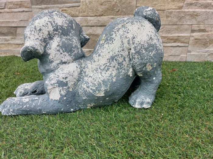 Chien décoration extérieure - photo numéro 2