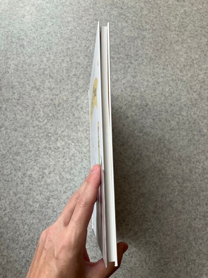 Le petit prince ~ Antoine de Saint-Exupéry (3€) - photo numéro 4