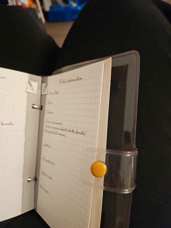Carnet de mon chat - photo numéro 6