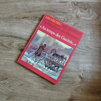 📚 Livre Au temps des gaulois #emyfleury_livres