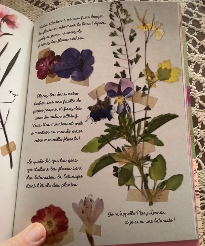 Livre jardin secret , Le jardin de Mary - photo numéro 6