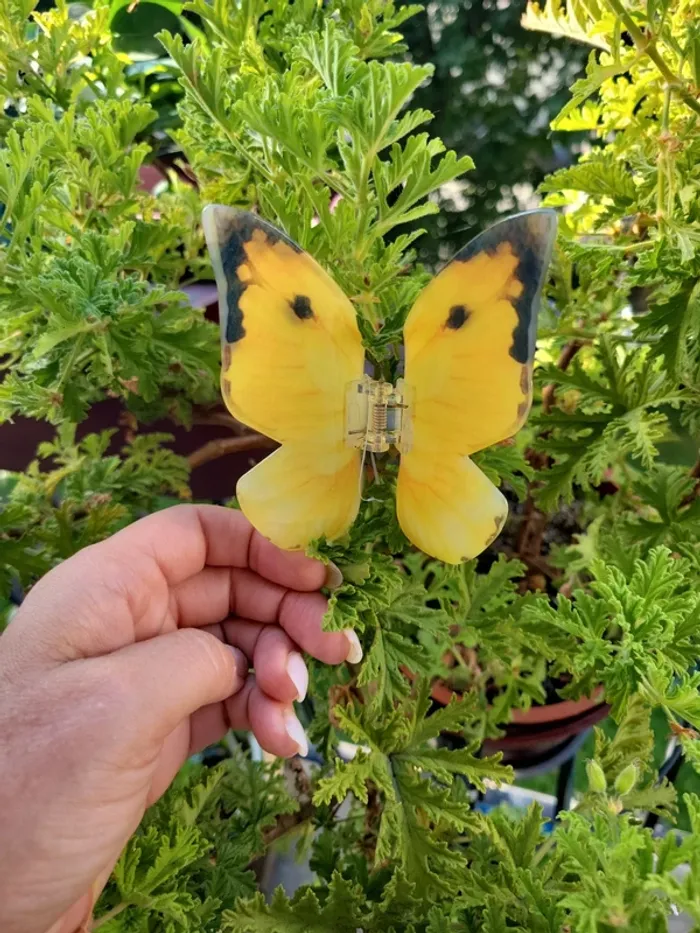 Pince a cheveux papillon - photo numéro 6
