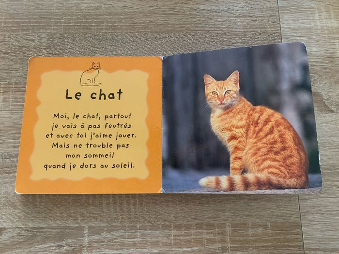 Les animinis à la maison - photo numéro 8