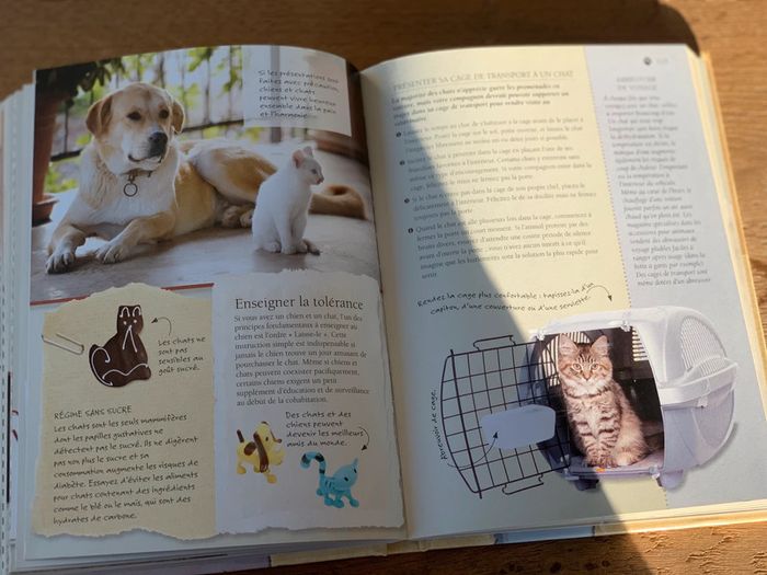 Livre chats - photo numéro 5