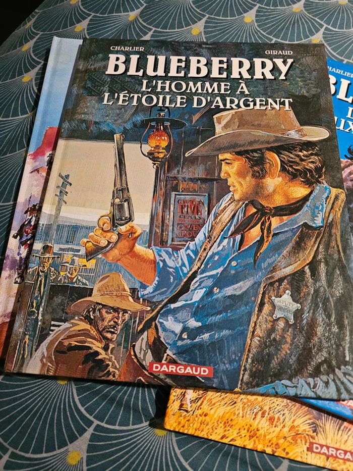 4 BD blueberry - photo numéro 5