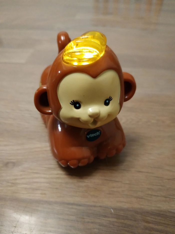 Titi le petit ouistiti Tut Tut Animaux