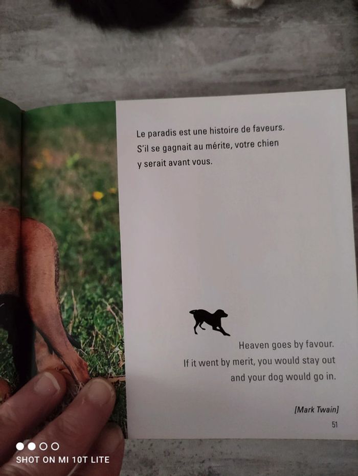 Livre  des amours de chiens - photo numéro 3