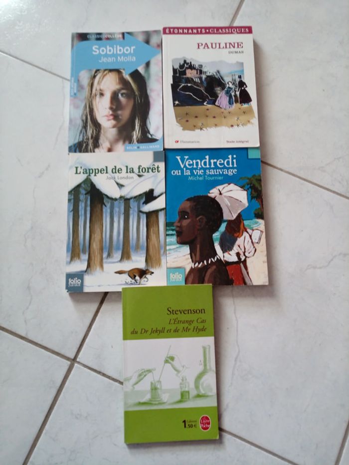 Lot de 5 livres de poche - niveau collège