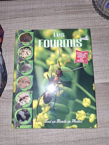 Livres animaux Les fourmis